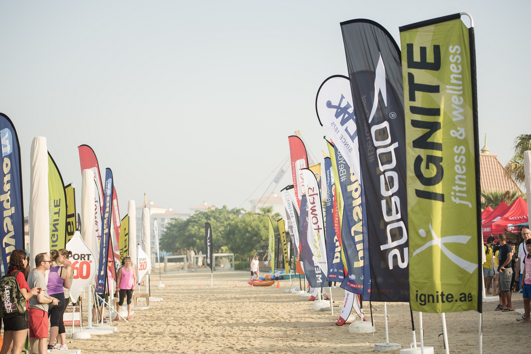 IGNITE Turns 15!